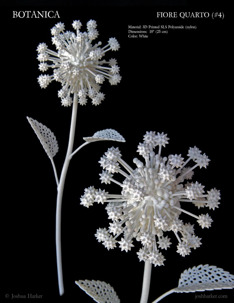 Fiore Quarto 3d Printed Filigree Flower by Joshua Harker image 1