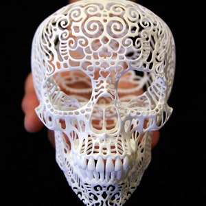 Skull Sculpture Crania Anatomica Filigre medium image 1
