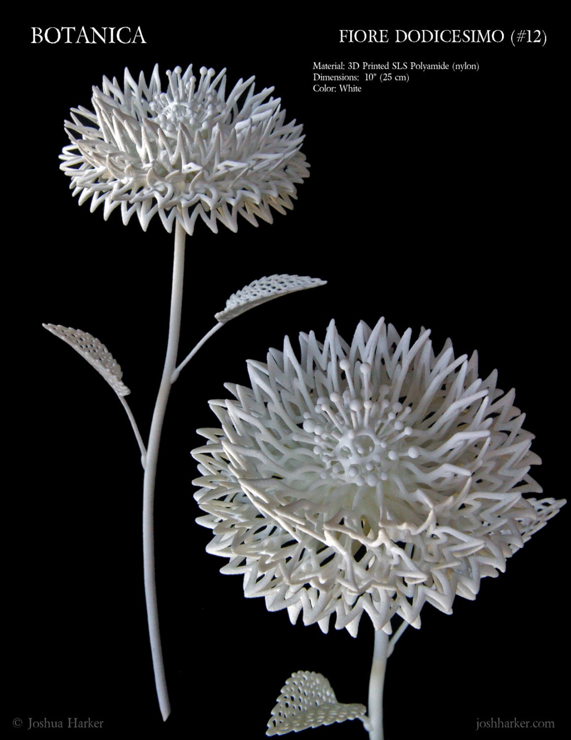 Fiore Dodicesimo - 3d Printed Filigree Flower by Joshua Harker - Etsy