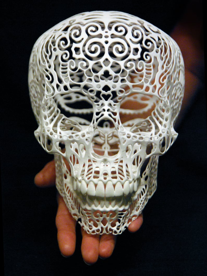 Skull Sculpture Crania Anatomica Filigre large image 1