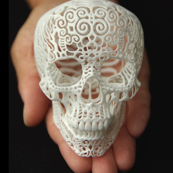 Skull Sculpture "Crania Anatomica Filigre" (small)