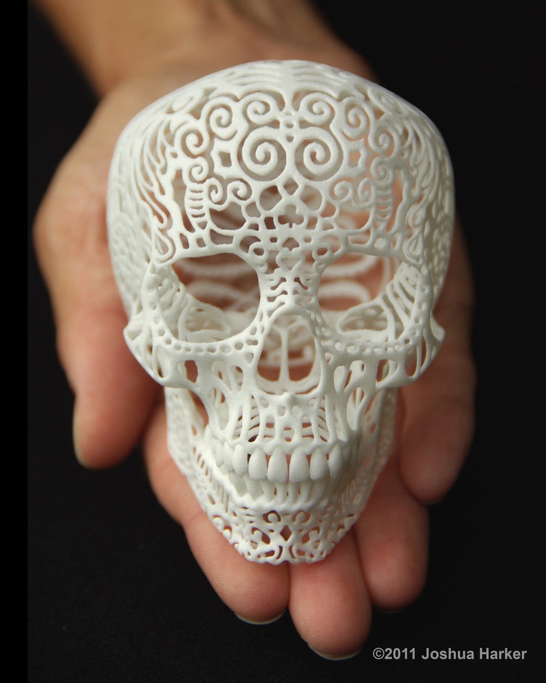 Skull Sculpture Crania Anatomica Filigre small image 1