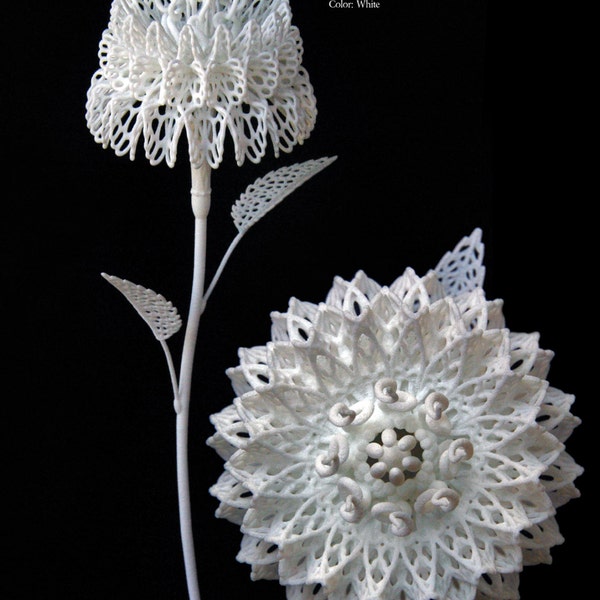 Fiore Decimo - 3d Printed Filigree Flower by Joshua Harker