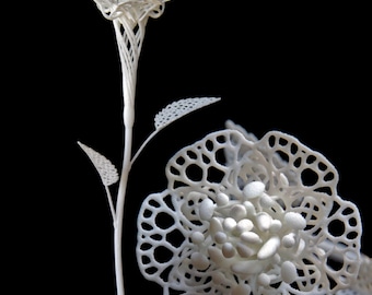Fiore Primo - 3d Printed Filigree Flower by Joshua Harker
