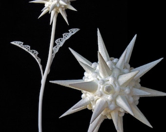 Fiore Sesto - 3d Printed Filigree Flower by Joshua Harker