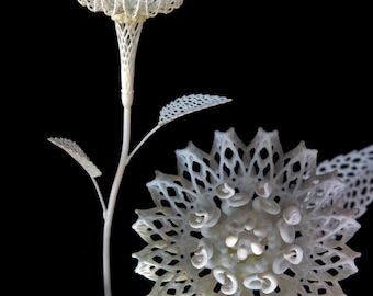Fiore Secondo - 3d Printed Filigree Flower by Joshua Harker
