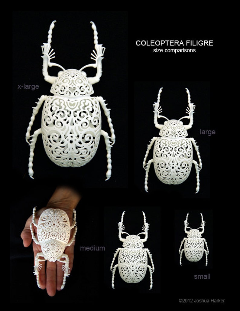 Käfer Skulptur Coleoptera Filigre klein Bild 5