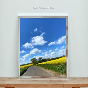 Yellow fields