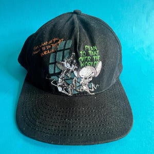 Warner Bros Cap - Etsy