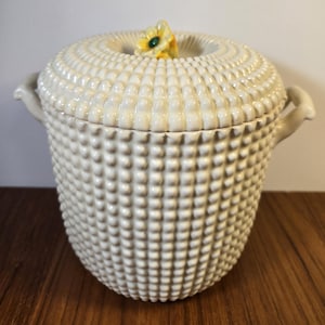 Può includere: Un barattolo in ceramica color crema con coperchio, caratterizzato da un motivo testurizzato a rilievo su tutta la superficie esterna. Il barattolo include due manici laterali e un coperchio sormontato da un piccolo fiore giallo e verde.
