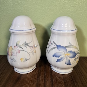 Villeroy & Boch Riviera Salt and Pepper Set, Floral Salt and Pepper Shakers, Vintage Porcelain Salt and Pepper, Elegant Tableware S and P