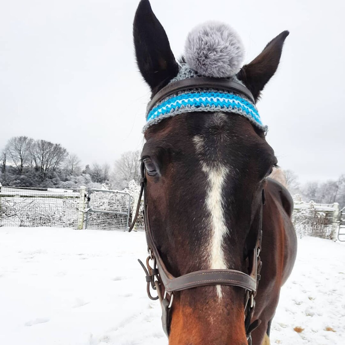 Horse Winter Horse Pom Pom Hat Horse Crochet Hat by Etsy