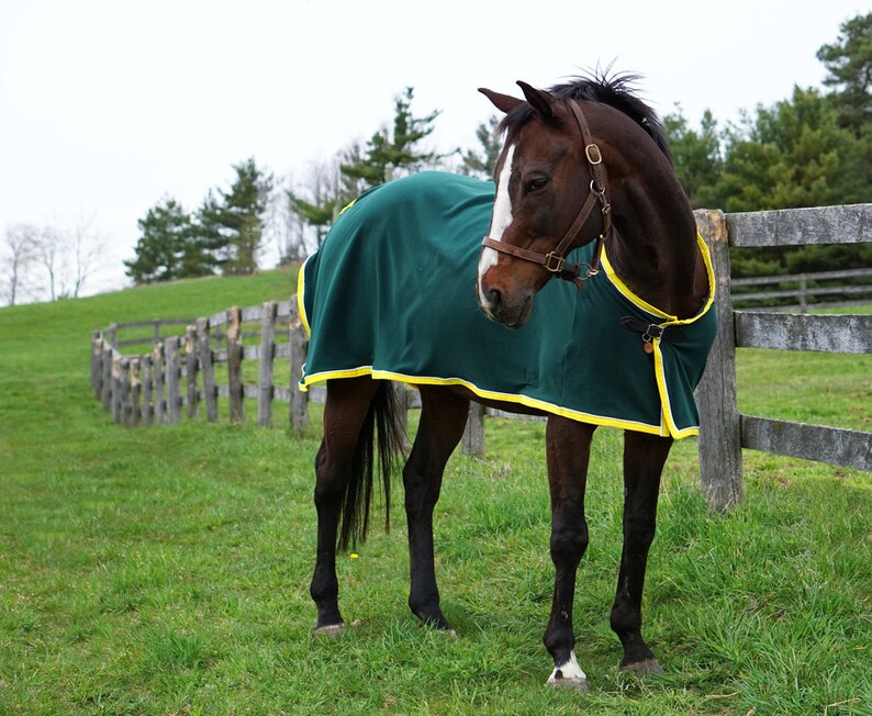 Premium Wool Show Cooler Wool Horse Blanket Choose Your Size Etsy