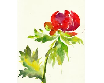 ROTE Pfingstrose Aquarell Blumen Malerei OOAK Blumen Geschenk für ihr Original Pfingstrosen botanische Kunstwerk