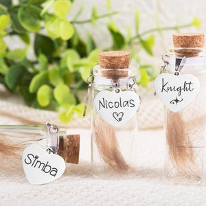 Personalized Pet Fur Memorial Jar,Custom Pet Hair Memorial Jar,Pet Fur Keepsake,Loss of Pet Gifts,Dog Rememberance Gift,Urn Memorial Gift