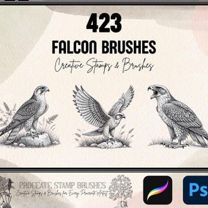 423 Falcon Brushes for Procreate & Photoshop – Line Art, Tribal, Wings, Fullbody Stamp Brush Set for Tattoo, Bird of Prey Art, Illustration