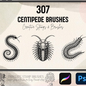 Op de afbeelding: Digitale kunstset met drie gedetailleerde illustraties van duizendpoten in zwart en wit. De tekst luidt "307 Centipede Brushes, Creative Stamps & Brushes". De afbeelding toont pictogrammen voor Procreate en Photoshop.