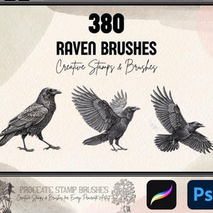 Op de afbeelding: Digitale kunstpenselen voor Procreate en Photoshop. De afbeelding toont drie gedetailleerde ravenillustraties in verschillende poses, met de tekst "380 RAVEN BRUSHES" en "Creative Stamps & Brushes". De afbeelding wordt weergegeven op een tabletscherm.