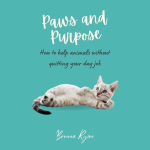 Könnte beinhalten: Buchcover mit dem Titel "Paws and Purpose" in weißer Schrift, mit einer hellgrauen Katze mit blauen Augen auf türkisblauem Hintergrund. Der Untertitel lautet "Wie man Tieren hilft, ohne seinen Job zu kündigen".