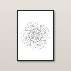 May include: A framed wall art print featuring a black and white geometric line drawing. The central design consists of a repeating hexagonal pattern with radiating, curved lines that extend outward, creating a complex, symmetrical, web-like structure.