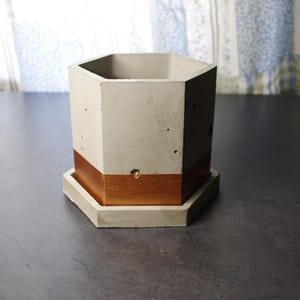 Handmade Cement Succulent Planter: Hexagon Concrete Cactus Pot