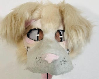 Border Collie amarelo (Cão, Canino) (VENDIDO)