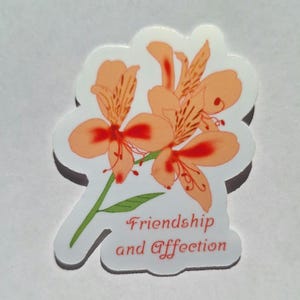 Bellissimo fiore di Alstroemeria fatto a mano con significato, adesivo in vinile di alta qualità per diario e album.