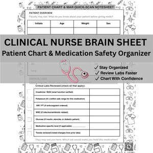 Nursing Clinical Brain Sheet | Patient Chart, MAR Organizer (PDF Printable)