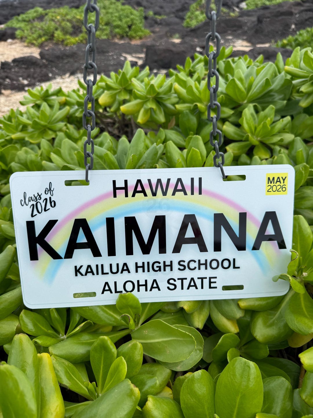 LA LISTE 2026 記念プレート Personalized Hawaii Class of 2026 License Plate Lei – Custom Name