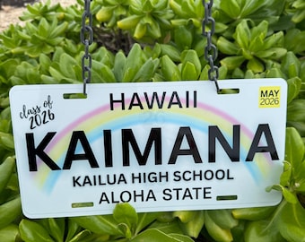 Personalized Hawaii Class of 2026 License Plate Lei – Custom Name Aluminum Graduation Decor