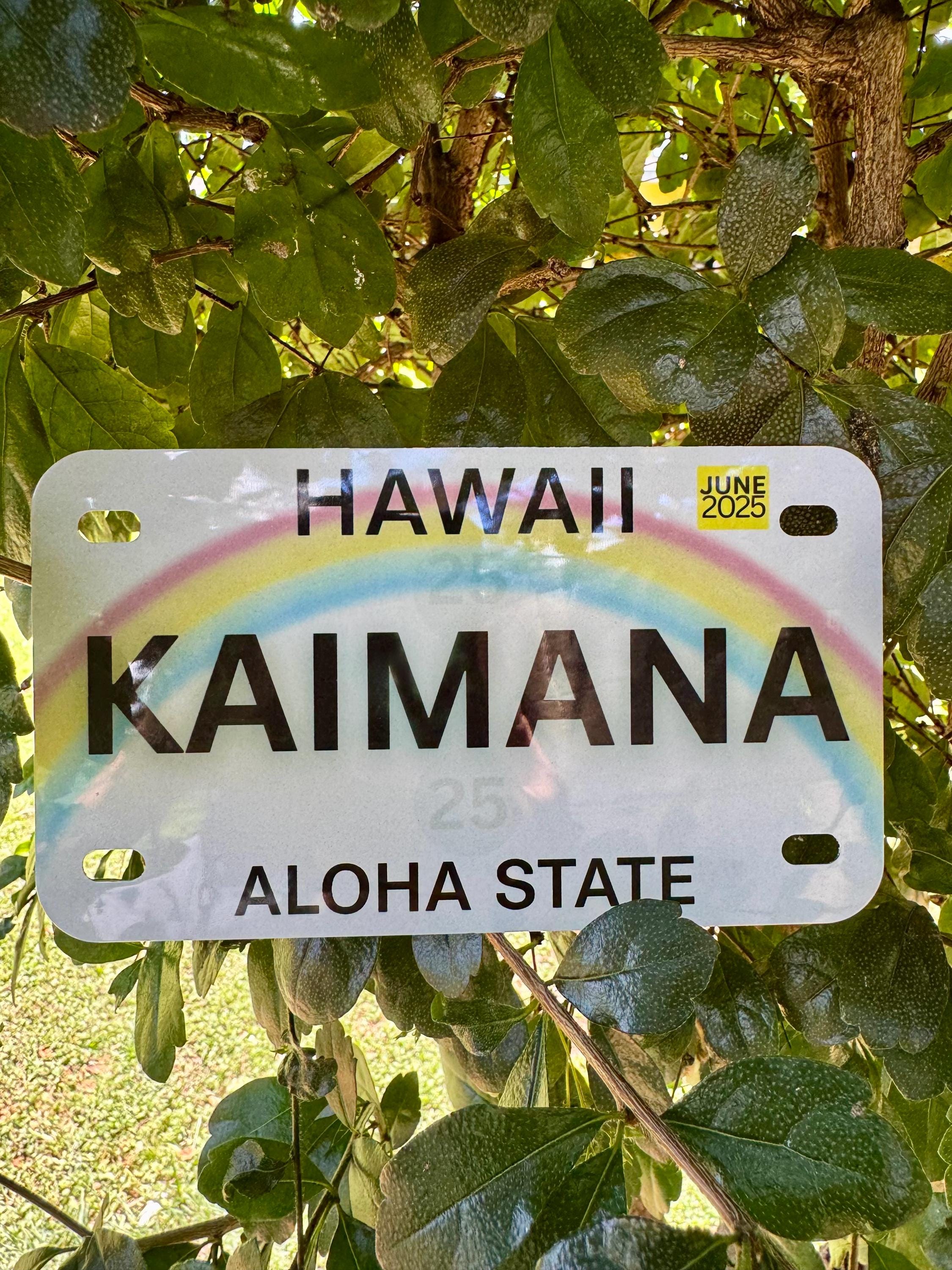 Personalized Mini Hawaii License Plate: Custom Name, Chain Option
