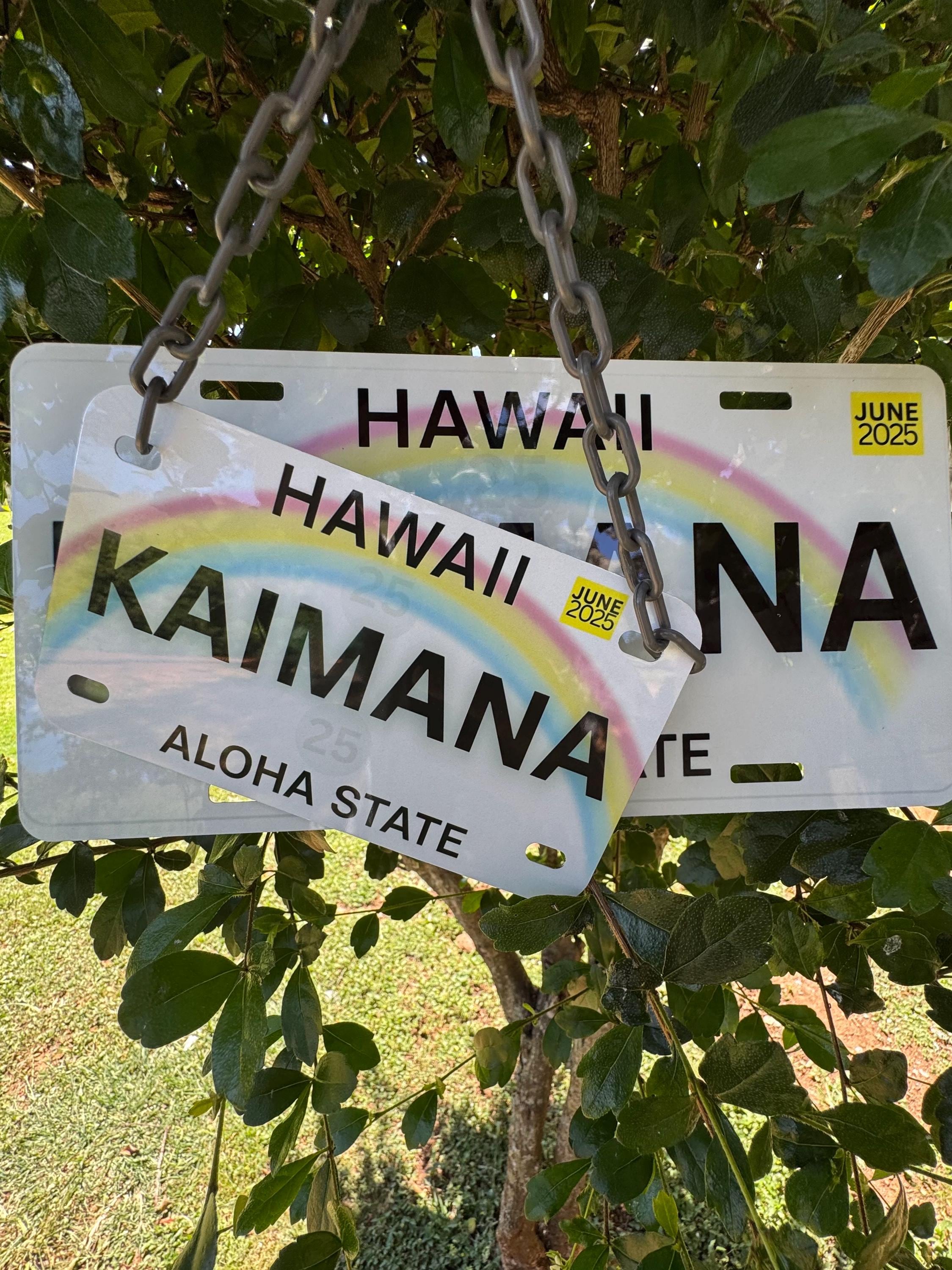 Hawaiian 名盤14枚セット Hawaiian Sun, Chocolate Covered Macadamia Nuts, 5 Oz - Walmart.com
