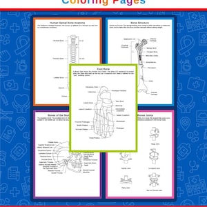 Könnte beinhalten: Ein digitaler Download von Ausmalbildern zur menschlichen Anatomie. Die Seiten zeigen detaillierte Illustrationen des menschlichen Skelettsystems, einschließlich Wirbelsäule, Fußknochen, Schädel und Knochengelenke. Der Titel lautet "Human Bones Anatomy Coloring Pages".