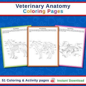 May include: A digital download of veterinary anatomy coloring pages. The image shows three pages with detailed illustrations of a dog skeleton, horse anatomy, and fish anatomy. The text reads "Veterinary Anatomy Coloring Pages" and "51 Coloring & Activity pages".