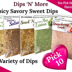 Variety of 10 Dip Mixes, You PICK Flavors,  party dips, seasonings
