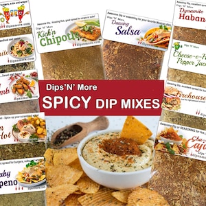 Spicy Dip mix, chip dip, seasoning, dry rub, party dip mixes, dry dip packages, salsa mixes, dips, food gift, bread dipping, pretzel dip mix