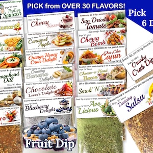 6 dip mixes, spice blends, You PICK, gifts, gift basket ideas, snacking, celebrations, parties, Pot Lucks, employee gifts, spices