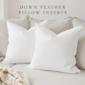 May include: Two white down feather pillow inserts are shown on a light-coloured sofa. The pillows are square and have a smooth appearance. The text "DOWN FEATHER PILLOW INSERTS" is at the top of the image.