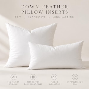 Peut inclure: Deux coussins en plumes, un carré et un rectangulaire, avec le texte DOWN FEATHER PILLOW INSERTS, SOFT, SUPPORTIVE, LONG LASTING, 95% FEATHER 5% DOWN, 100% COTTON DOWN-PROOF COVER, PLUSH & SUPPORTIVE, HYPOALLERGENIC FILL, sur fond blanc.