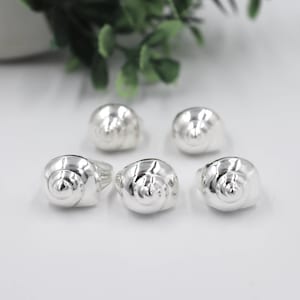 Op de afbeelding: Vijf zilverkleurige ringen, elk met een spiraalvormig schelpmotief. De ringen zijn geplaatst op een witte ondergrond, met groen blad in de achtergrond. De ringen zijn gemaakt van glanzend, reflecterend metaal.