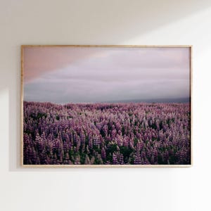 Purple Lupine Field Printable Wall Art – Floral Landscape Photography, Nature Home Decor