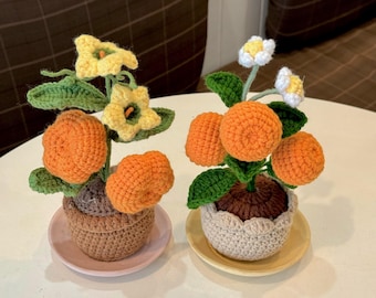 Handmade Crochet Fruit Vegetable Pot - Pumpkin Watermelon Yuzu Kawaii Floral Plush Decorative