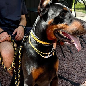 Handmade Braided Dog Collar From Paracord In Black And Yellow Color, Waterproof, Customizable, Super Durable Buckle, For Large Dogs
