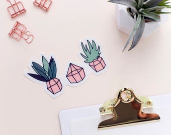 THREE SUCCULENTS STICKER (white) ||  Succulent stickers - Cactus stickers - Gardening stickers - Plant stickers - Succulent Plant stickers