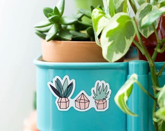 THREE SUCCULENTS MAGNET || Cactus Magnet - Succulent Magnets - Plant Magnet - Cacti Magnet - Cactus Art - Garden Magnet - Succulent Art