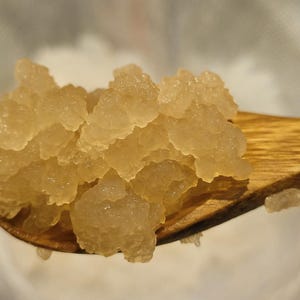 2tbs Organic Water Kefir Grains Organic Raw Sugar feed vigorously active probiotic