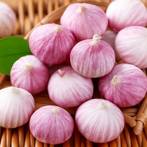 Frischer 3,5 CM + Riesiger Solo-Knoblauch Premium-Qualität Single Bio-Nelkenknoblauch - aus den USA Fett, süß und perfekt zum Rösten von Pflanzenknoblauch