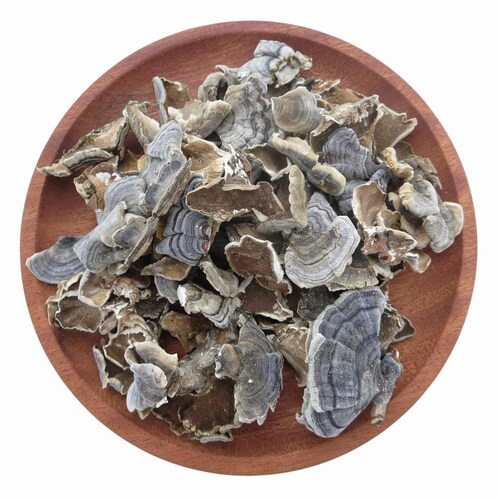 250g/500g Turkey Tail Mushrooms |Powder Coriolus Versicolor No Additives  Preservatives  Fillers  GMOs