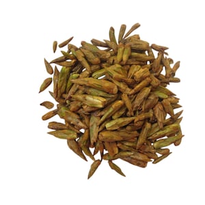 Może przedstawiać: Stos suszonych, brązowych i zielonych pąków roślin na białym tle. Pąki są wydłużone i spiczaste, o lekko teksturowanym wyglądzie. Ogólna paleta kolorów jest ziemista, z odcieniami brązu i zieleni.