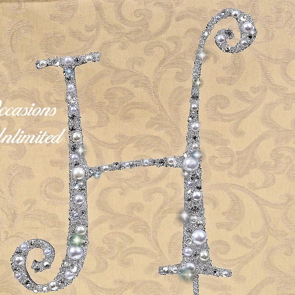 Custom listing for Harli Livingston LARGE  6" Silver Cake Topper Letter M